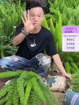 狐尾天门冬绿植盆栽四季常青耐旱庭院阳台造型独特花境植物#狐尾天门冬 #天门冬盆栽 #绿植 #四季常青 #园艺生活 @DOU+上热门 @DOU+小助手