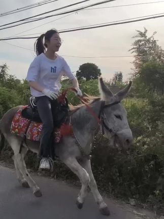 作业丢一嘎达,我整天嘻嘻哈哈! #骑驴出行 #熊孩子 #骑驴看世界 #骑上我心爱的小毛驴