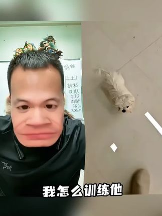 如何不让狗子上地毯?这招太好用了!知道的人都说绝了~ #狗都不干 #会火 #不务正业的养狗人 #狗粮推荐 #性价比高的狗粮推荐