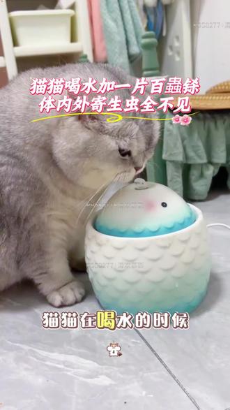 #养猫经验分享 就是这款百蟲铩,让猫狗体内外寄生虫都不见,开春了,养宠人注意了,如果你家的猫猫狗狗频繁的抓耳挠腮、啃咬指甲,啃身上,然后呢?蹭沙发,拖着屁股开火车,那就要引起重视了,这就是体内的虫子在作怪,定期给猫狗喂上这个百蟲铩,一瓶一百片,经济实惠,家里有猫狗的直接带回家。 #驱虫 #谁能拒绝傻憨憨的小猫咪 #科学养宠攻略 #猫咪驱虫好物