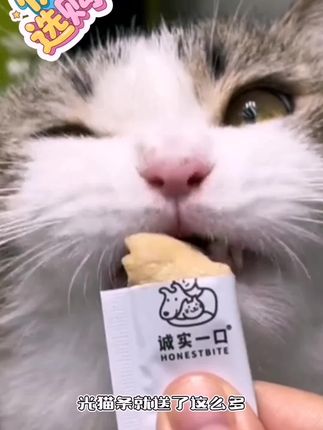 #秋日鞋包氛围感拿捏了 #跟着抖音学穿搭 诚实一口猫条猫零食0胶0诱幼猫成猫好多条发腮无添加湿粮猫咪零食#宠物用品