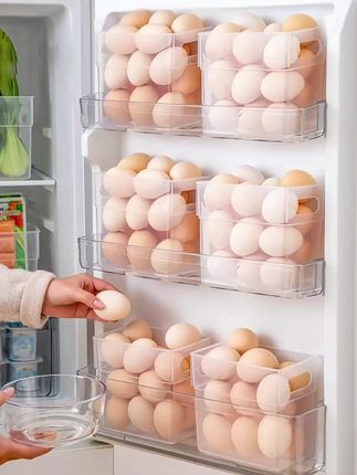 鸡蛋收纳盒冰箱专用       保鲜盒食品饺子葱姜蒜整理神器      冷冻厨房架托#收纳整理 #好物推荐🔥 #厨房好物 #食物保鲜 #鸡蛋收纳盒 @DOU+小助手