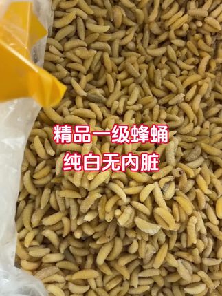 高蛋白的蜂蛹,老人小孩都能吃,满满营养#蜂蛹 #蜂蛹 #下酒菜 #美食 #高蛋白