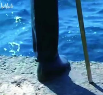 一个纯粹的人#保尔柯察金