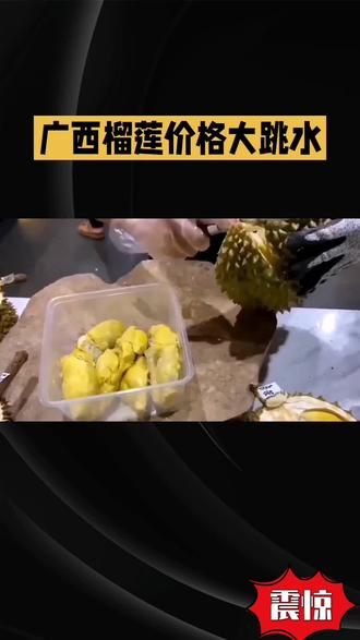广西榴莲“白菜价”!100元3个、16.8元/斤,全国羡慕哭 #广西榴莲有多便宜 #广西榴莲价格感人 #广西榴莲上市 #广西南宁榴莲