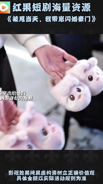 #《被甩当天,我带崽闪婚豪门》 #红果短剧 #你的短剧搭子 #解说原片