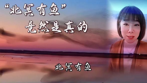 #北冥有鱼,其名为鲲,鲲之大,不知几千里也#庄子 写下“北冥有鱼”时,或许也曾见过这般震撼的鸟浪奇观