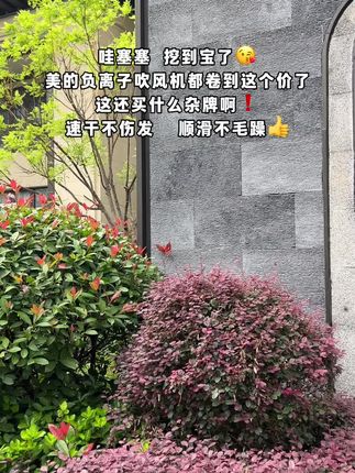 美的吹风机负离子速干发型冷热风不伤发家用电吹风筒极光紫#美的吹风机负离子护发#用一次就爱上的小心机好物#平价好物 #女生必备#负离子吹风机