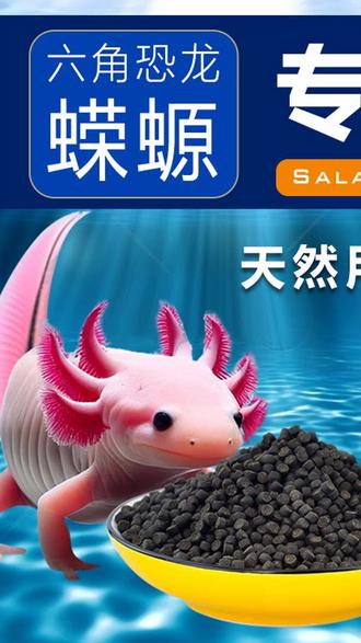 #六角恐龙# 鱼粮 #六角恐龙鱼# 蝾螈 #六角恐龙生宝宝 下沉六角恐龙鱼饲料六角龙鱼饲料六六娃娃鱼西方蝾螈饲料鱼食专用 #六角恐龙鱼吃什么# 六角恐龙粮 #奇亚籽