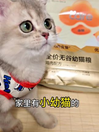 幼猫不知道吃什么的,可以尝尝这款好主人金装,我家猫咪框框炫,无谷鸡肉适口性非常好#好主人#猫粮 #幼猫成长记 #科学养宠攻略