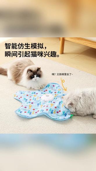 猫咪捕猎游戏罩自动逗猫自嗨解闷互动玩具 #宠物玩具 #猫咪互动 #逗猫神器 #猫咪解闷 #宠物用品