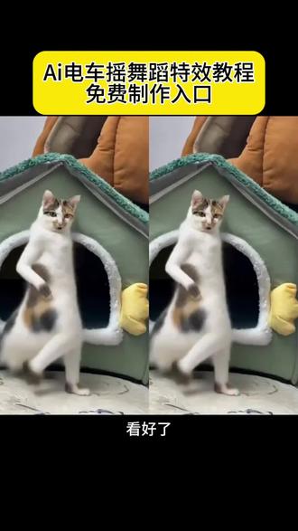 小猫电车摇舞蹈ai制作教程来了 王摇摆电动车 小猫打拳ai 猫ai视频 ai生成视频特效怕同款 小猫电车摇舞蹈ai教程 小猫电车摇舞蹈特效 小猫电车摇特效教程 Ai电车摇舞蹈教程 ai电车摇舞蹈特效 ai电车摇舞蹈特效教 小猫跳舞制作教程 小猫模仿视频制作入口 猫打拳 哇哇哇打拳猫 #由小云雀seedance2.0制作 #小云雀AI #小云雀爆款马上成片 #小云雀seedance #用小云雀Agent短剧一键直出