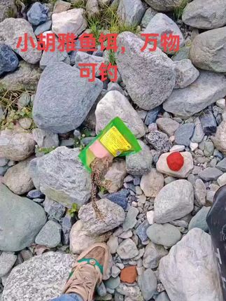 #小胡雅鱼饵 #雅鱼饵料 #溪流钓 #野钓 #钓鱼人人