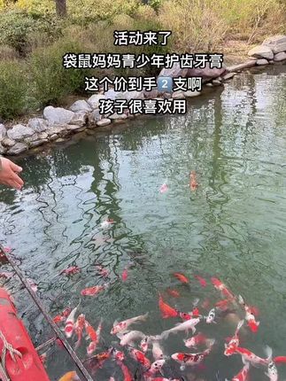 〖青少年牙膏〗袋鼠妈妈学生牙膏护龈健齿低氟防蛀 柠檬白茶清新口气!#牙膏 #儿童牙膏 #袋鼠妈妈青少年牙膏