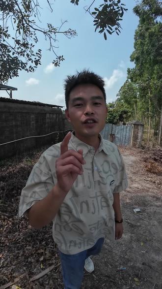 你家荔枝保果了吗,带你看一下我们保果方案!#锐普农化#锐普高手#荔枝保果#跟倍优