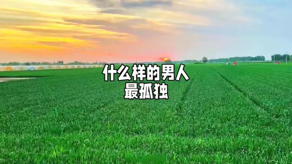 什么样的男人最孤独?但孤独不是一个,不是没人陪他,而是明明拥有一个美满的家,却依然感觉凄凉无助,感受不到一丝暖意。他有老婆,但没有爱人,他有婚姻,但没有家庭,看似一个幸福的家庭,他却活得像个旁人,想过放弃,却放不下责任,想倾诉却无人可言,只能默默独自承受。#人生感悟 #人生哲理#治愈系风景 #王立群