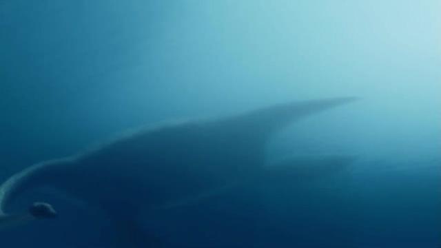 全世界范围最出名的水怪事件-尼斯湖水怪! 一个流传了1500年的传说到底是真的还是谎言
绵延近40公里的湖泊,其中到底生活着怎样的未知生物
超过1100起神秘生物目击事件中又有多少是靠谱的呢
哈喽大家好,我是托尼。今天我们来讲,尼斯湖水怪。
#科普 #尼斯湖水怪 #水怪 #不明生物 #未解之谜