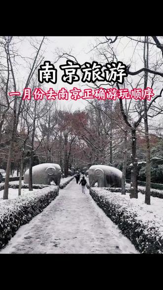 寒假和春节来南京旅游,千万不要错过一月份的南京,这时候的南京人少景美,最重要的花费还低!#生活服务热点中心 #南京有雪便成了金陵 #南京旅游攻略 #南京旅游必去的景点 #南京旅游