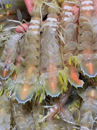 #海鲜水产 #海鲜 #海鲜美食 #皮皮虾 #皮皮虾今日好笑