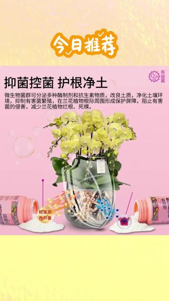 植物活菌粉养根壮根防烂根促生长促开花兰花专用水溶肥植物肥料