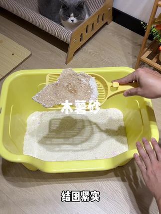 还得是女朋友会养猫,新款木薯猫砂不仅不臭,而且还很省猫砂,关键它足足八包也才这个价#木薯猫砂 #猫砂测评 #猫砂推荐