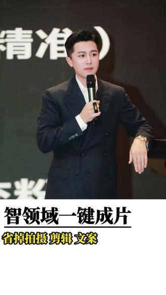 #智领域Ai获客系统