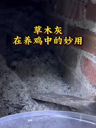 #三农小知识 #农村 #养殖 #