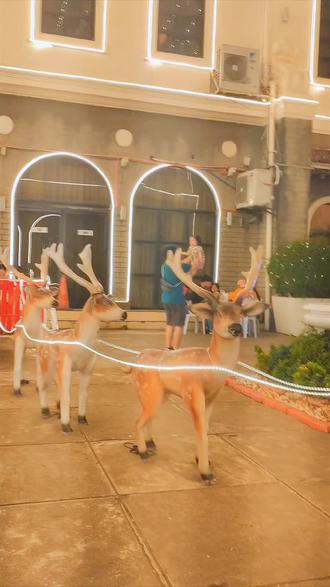 #旅行探索 #日常vlog #婚姻 #户外 #热门 海外圣诞节想给粉丝开个直播,但要500粉丝,不够,结果冲粉时,因为给网友分享能和外国女孩聊天的软件时,被d y以涉嫌欺诈处罚,软件都是其他博主分享,有大佬知道原因吗?跪求