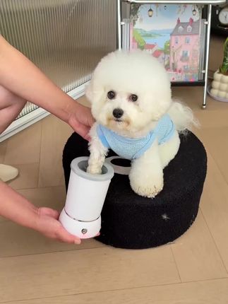 有了这个洗脚杯,出门遛遛回来就不用各种洗脚脚擦爪爪啦#萌宠好物 #宠物洗脚器 #狗狗洗脚神器 #宠物洗脚杯
