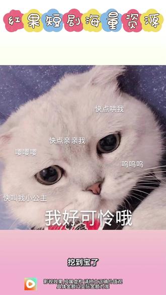 #红果短剧 #你的短剧搭子