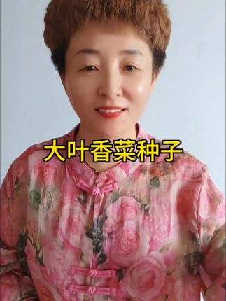 大叶香菜种子#种植#农业