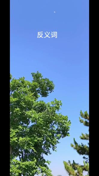 五年级语文下册#反义词#每天学习一点点