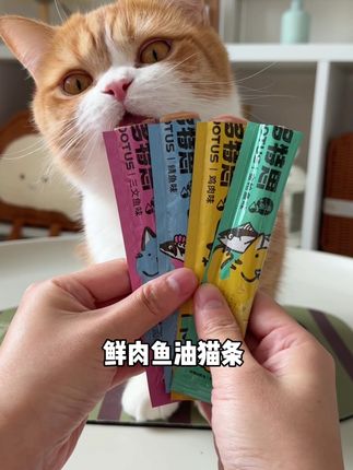 多特思鲜肉鱼油猫条又又又破价了,原料干净,大猫小猫放心吃#猫条 #萌宠好物 #新手养猫 #养猫人 #多特思