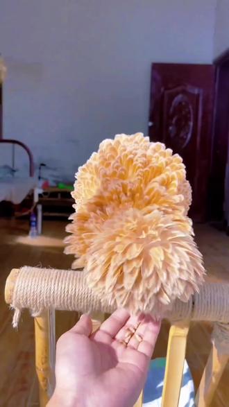 这些动物淋湿后是什么样子的? #科普 #动物 #搞笑 #可爱