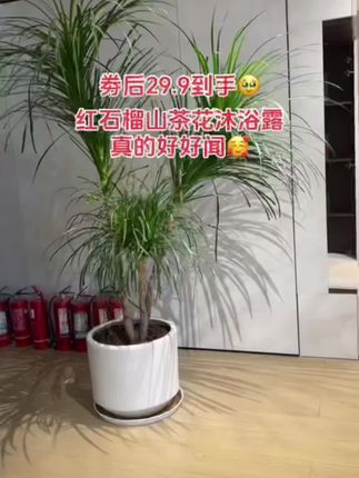 #好东西一起分享 #沐浴露 #我可真会买 #洗护好物 #我捡到宝了