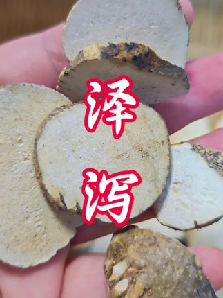 中药界有个“水湿小能手”——泽泻!帮身体轻松排走多余水分,晨起不肿、身体轻快,养生党快记好这个宝藏药材~#泽泻#祛湿#中药材
