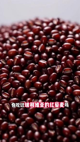一片好吐司,从来都不是广告说出来的,是每一口吃出来的。xl51#豪士 #豪士豪士好吃好吃 #工厂实拍视频 #品质 #吐司面包