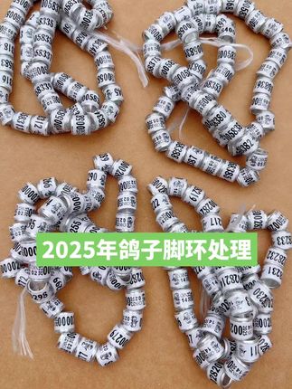 #2025年鸽子足环#鸽子用品#鸽子养殖