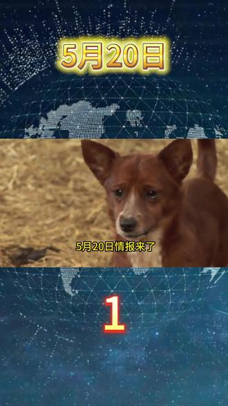 5月20日情报来了