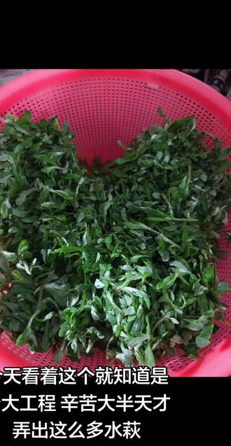 #舌尖上的乡村美食 妇女节过成劳动节 有个非常能干的婆婆是一种什么体验 今天是特色美食做成# 预制早餐的全过程