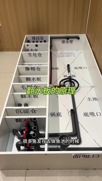 庭院锦鲤鱼池过滤水循环系统设计制作,翻水板的原理,鱼池设计施工,锦鲤鱼池新建开挖注意事项#鱼池过滤#鱼池设计#鱼池#鱼池改造#锦鲤鱼池