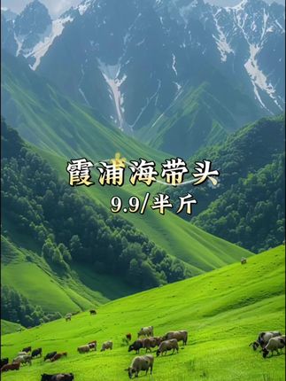 #霞浦干海带头