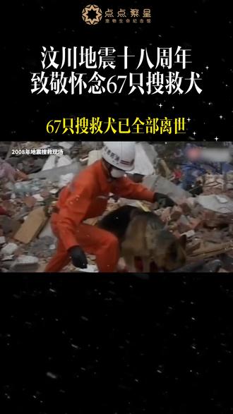 搜救犬从未被忘记 #汶川地震 #搜救犬 #汶川地震18周年祭 #宠物告别 #宠物殡葬