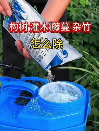 #除构树 #除灌木 #三农 #农业种植 #助力三农