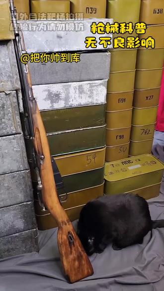 莫辛纳甘步枪枪械科普#莫辛纳甘