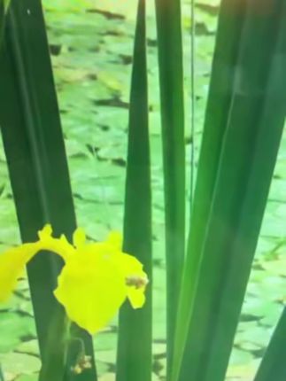 宝宝地板袜防滑春秋季儿童学步袜室内隔凉婴幼儿卡通软底早教袜套 #好物推荐🔥 #学步鞋袜