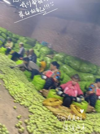 礼品二号纸皮核桃#优质农产品