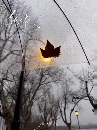 我会永远永远的爱你#纸飞机 #杨煊 #汤君赫 #小说 #广播剧