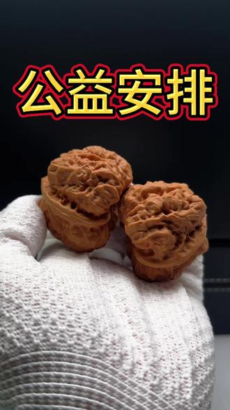 新核桃打底失败、包浆挂瓷慢?极致打底教程,盘玩事半功倍
新手盘核桃输在打底!打底没做好,后期包浆发乌、上色慢、易脏易裂,打底到位,盘玩事半功倍,半年就能出玻璃底,精进版极致打底方法,新手照着做,一步到位。
打底禁忌:别上手早、别沾水、别偷懒少刷,打底期就是纯刷,不盘玩,把核桃表面蜡质、脏污、反碱全部清理干净,皮质打磨光滑。
标准打底流程:新核桃先用硬猪鬃刷,每天刷1小时,连续刷7-10天,全程不上手、不碰汗、不沾水,把通体刷顺滑,挂瓷发亮。再换软毛刷细刷纹路凹槽,彻底清理死角,打底完成后,再少量上手盘玩。
打底是核桃盘玩的根基,底子打通透,后期上色均匀,包浆透亮厚重,不发黑、不积脏,越盘越红,轻松盘出收藏级老核桃。
#文玩核桃 #核桃打底教程 #文玩新手进阶#文玩核桃精品 #高品质文玩核桃