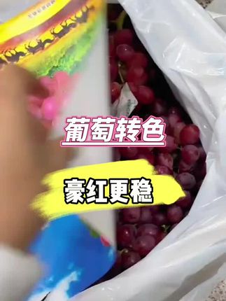 #转色增甜方案 #优质农产品 #克伦生#转色增甜 #纯天然绿色食品 #葡萄种植